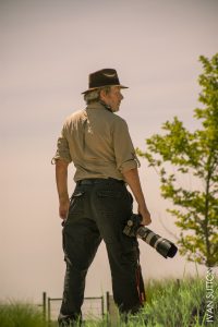 Photographer Hamilton